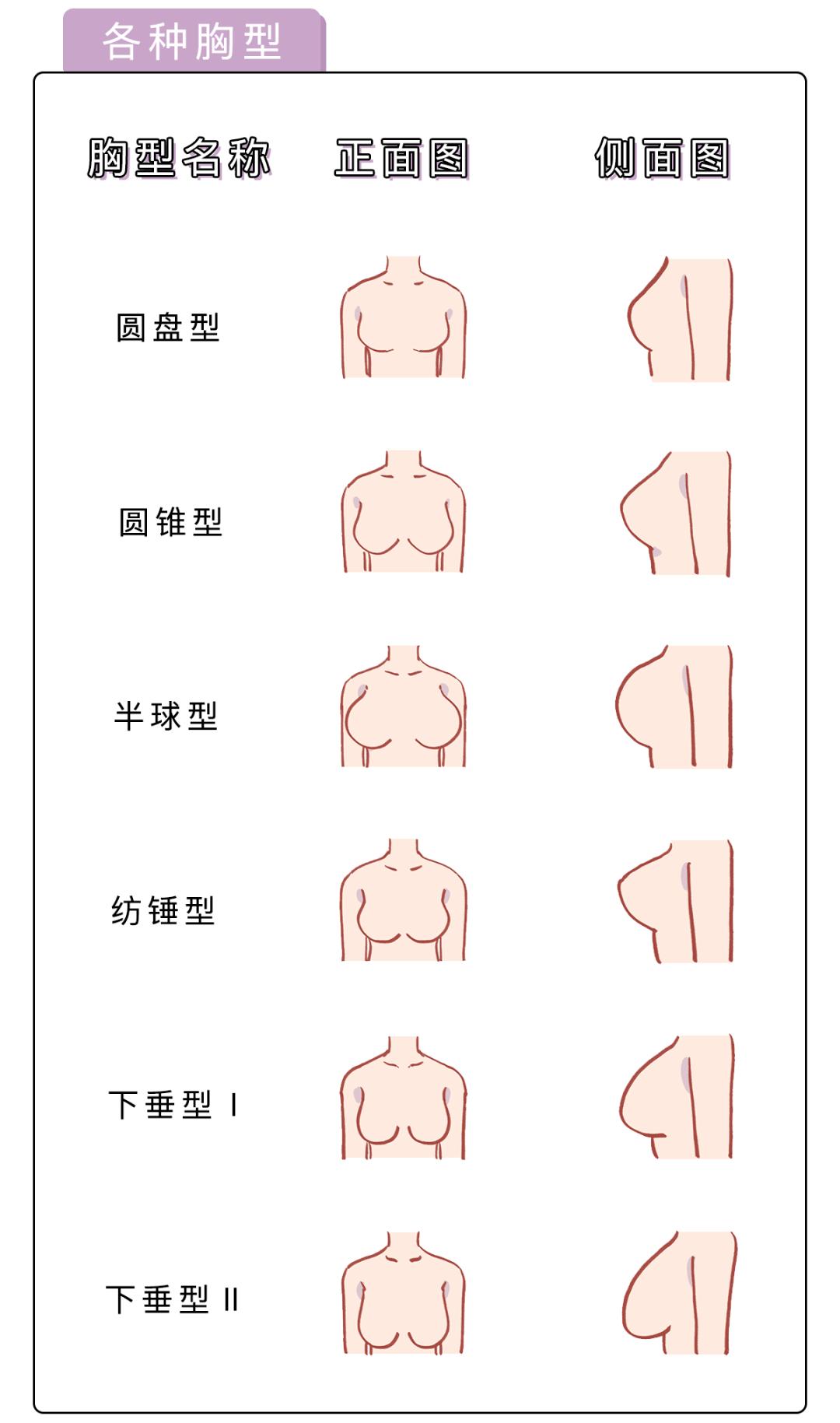 女人的胸长什么样子？女人的胸是什么样的？[图]