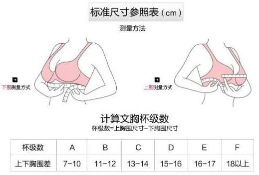 胸围80c是多大？胸围80c是多少厘米尺码对照表？[多图]