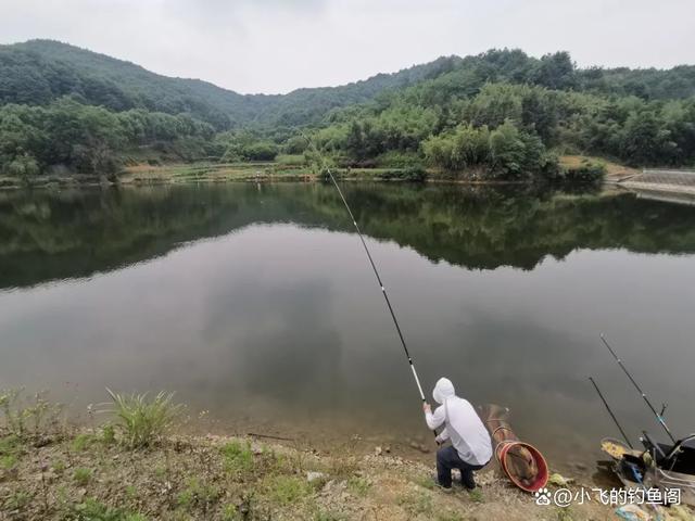 钓到大鱼后该如何操作，要牢记4个步骤