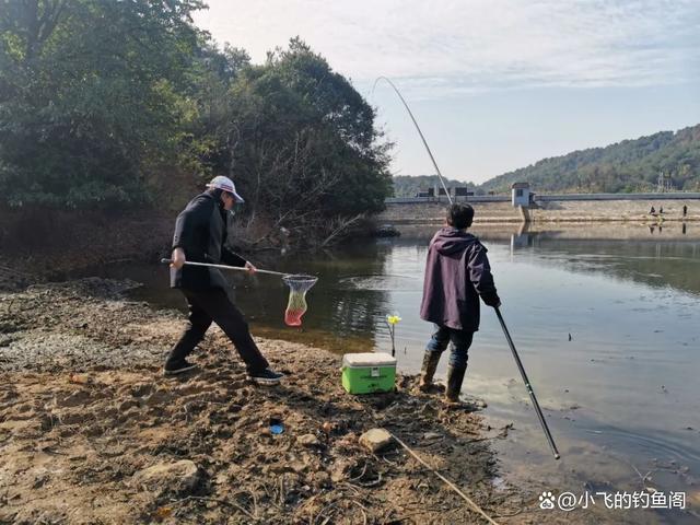 钓到大鱼后该如何操作，要牢记4个步骤