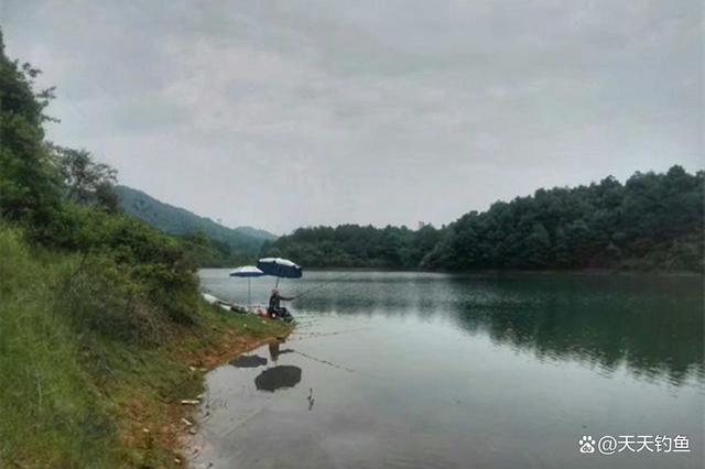 春季野钓，4种天气大鱼会靠边，觅食时间更长