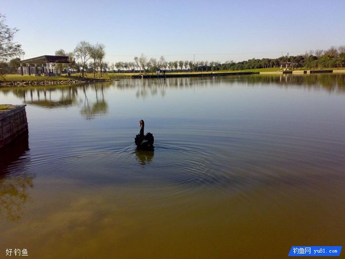 10个钓鱼奇招，学会一半就是高手了