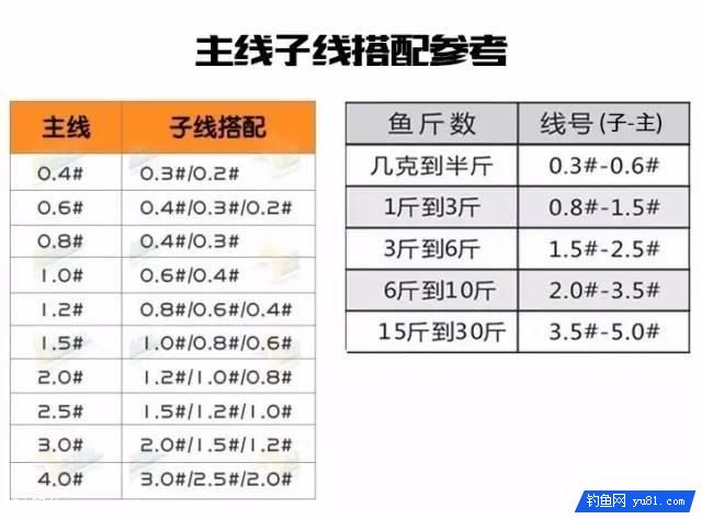 手竿、海竿、矶钓竿图解线组搭配