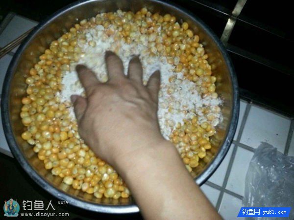 湖库钓鲤鱼的顶级窝料制作与使用