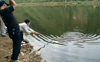 <b>想要垂钓收获好，应知鱼识水</b>