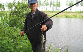 浅谈王金生米饭粒钓鱼技