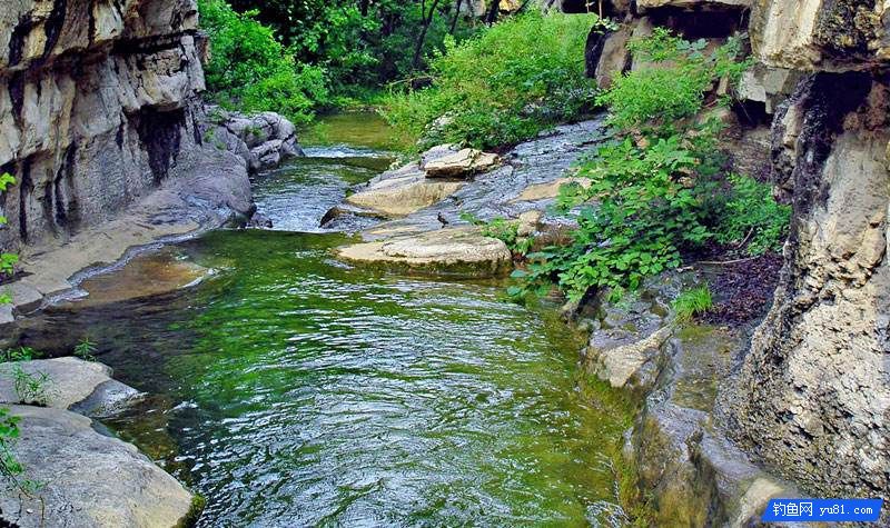 在小河流中怎样选择钓点？