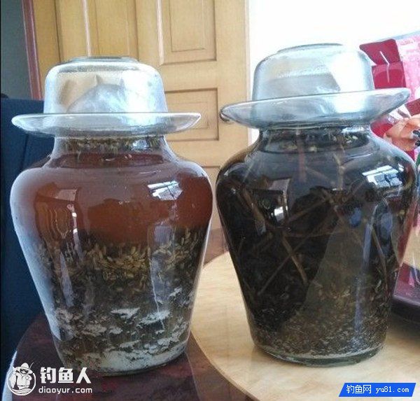 深度解析钓鱼药酒的搭配与使用