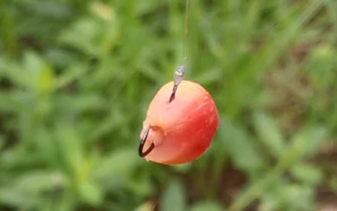 自然饵料