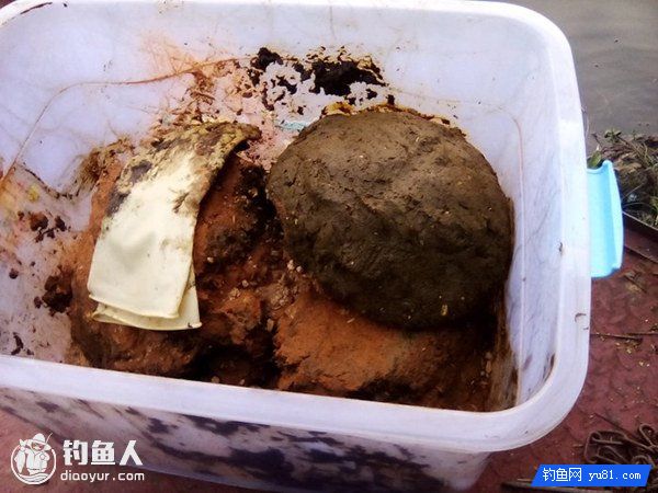 珠珠逗钓大鱼法与牛粪窝饵的制作