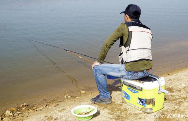 几种常见淡水鱼的最佳钓法，攻克它们的“必杀技”，你了解多少？